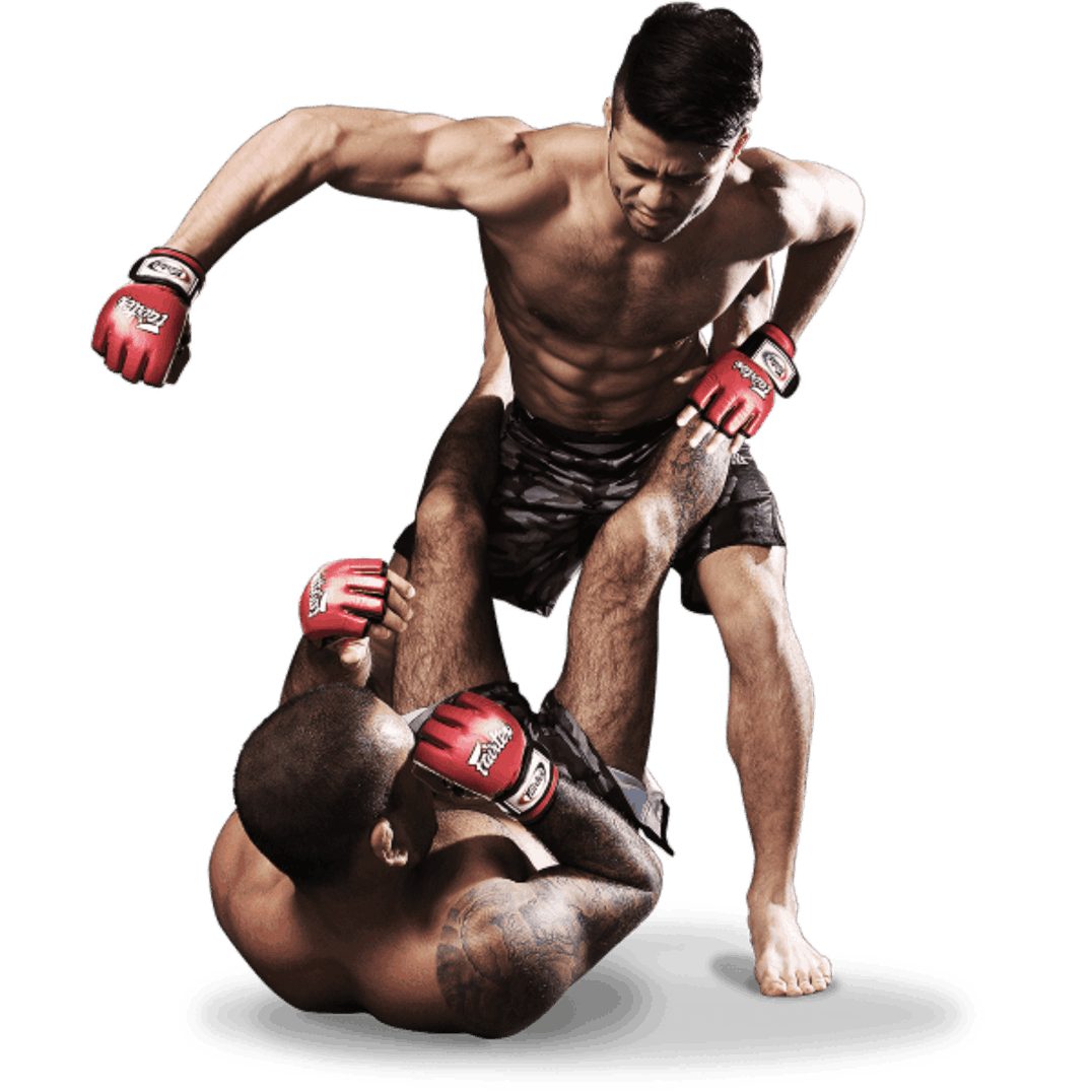UFC / MMA